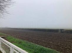 Ростовские конники снова ждут: комитет ОКН успешно затягивает решение с защитой ипподрома еще на 90 дней