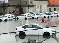 «АвтоВАЗ» заявил, что затопленные в Ростове автомобили Lada не пострадали