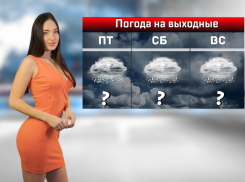 В Ростовcкой области на выходных ожидается снегопад и метель