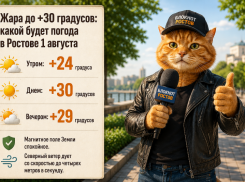 Жара до +30 градусов: какой будет погода в Ростове 1 августа