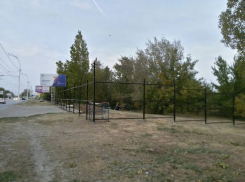 Ростовский бизнесмен построит автосалон на месте рощи в Волгодонске