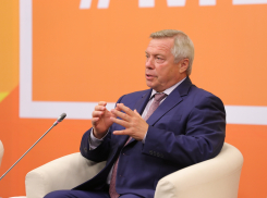 Губернатор Ростовской области рассказал, как будет праздновать Новый год