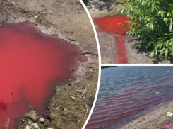 Компания «Дон-Пласт» обвинила мэрию в клевете после заявлений о сбросе стоков в Дон