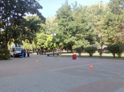 Загадочный чемодан взбудоражил полицию и прохожих в центре Ростова