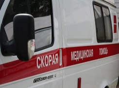 В Ростове в связи с гибелью 21-летней девушки от падения дерева возбудили уголовное дело