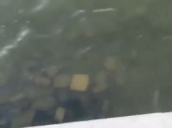 Видеоблогеры раскрыли секрет, как избавляются от неугодных в Ростове