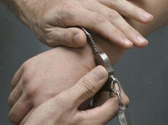 У жителя Ростовской области обнаружили двадцатисантиметровые кусты конопли