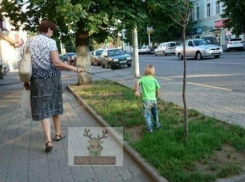 Установлена личность бабушки, выгуливающей внука на поводке в Новочеркасске