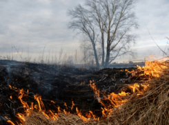 Экстренное предупреждение объявлено в Ростовской области