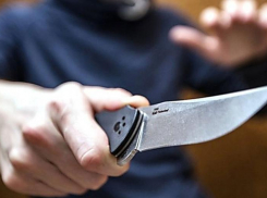 В Ростовской области напавшего на полицейских мужчину хотят отправить в психбольницу