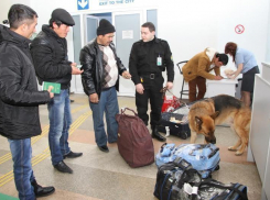 С начала года 320 килограммов насвая ввезли в Ростов