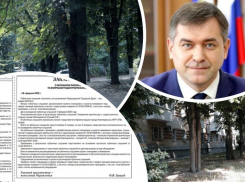 Власти Новочеркасска под видом заботы о зеленых насаждениях пытаются забрать у предпринимателя участок
