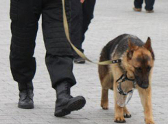 В Ростове «заминировали» офис Сбербанка на Буденновском