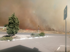 Крупный пожар начался у станицы Старочеркасской