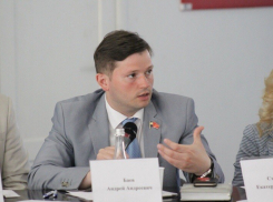 Очень бедный депутат-адвокат из гордумы Ростова официально зарабатывает 22 тысячи в месяц