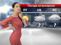 Дождь и сильный ветер ожидаются на выходных в Ростове