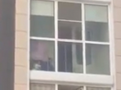 Избиение породистой собаки в жилом массиве Ростова попало на видео