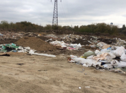 Свалку бытовых отходов расчистили и закрыли в Советском районе Ростова