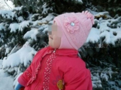 Стали известны новые подробности падения из окна 5-летней малышки в Ростовской области