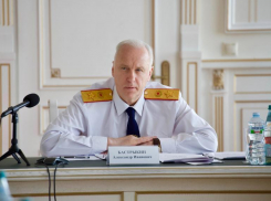 Бастрыкин поставил на контроль ситуацию с вырубкой леса в Ростовской области