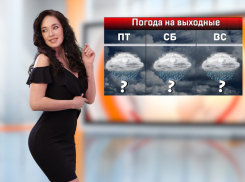 На выходных в Ростове ожидаются дождь и гроза