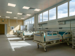 Для инфекционной больницы в Ростовской области создали дирекцию