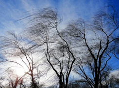 Шквалистый ветер ожидается на Дону