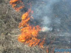 В Аксайском районе горит сухая трава