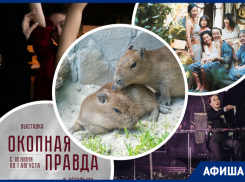 Кормим капибар, сочувствуем «магазинным воришкам» и узнаем «Окопную правду»: куда пойти в Ростове на этой неделе