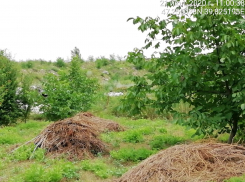 ГК «Чистый город» пресек незаконный оборот стройотходов в Ростове