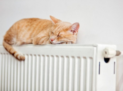 В Новочеркасске отопительный сезон продлили из-за коронавируса