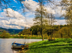 Режим ограничения пребывания в лесах продлили в Ростовской области