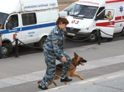 Из-за сообщения о бомбе в Батайске эвакуировали прокуратуру, ЗАГС  и следком 