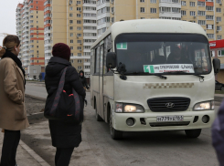 В Ростове власти ищут новых перевозчиков для микрорайона Суворовский