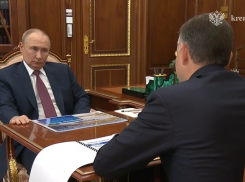 Врио губернатора Слюсарь встретился с Владимиром Путиным 