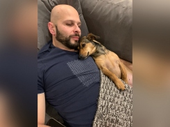 В Ростове такса, выброшенная с щенками на улицу, обрела любящую семью