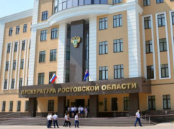 Прокурор потребовал упрятать оппозиционера за решетку из-за репоста в Ростове