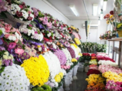 Цветочников вынудили благоустроить парк под угрозой запрета торговли в Ростовской области