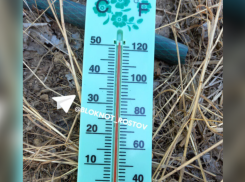 В августе жителей Ростовской области ожидает засушливая погода