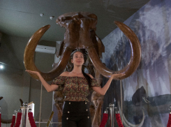 Тибетские амулеты, золото сарматов и скелеты мамонтов-гигантов: чем может удивить музей-заповедник в Азове