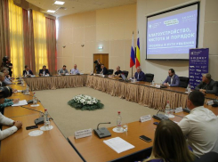 На Дону предложили разработать программу благоустройства контейнерных площадок