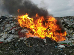 Большим рублем поплатился за опасное сжигание мусора директор свалки под Ростовом