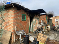 Собака спасла семью от пожара в гараже и бане в Ростовской области 