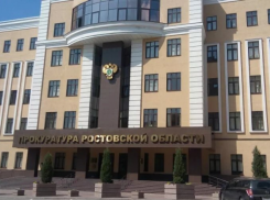Прокуратура потребовала от Голубева обеспечить соблюдение прав многодетных семей в Ростовской области