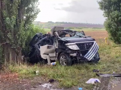 Двое взрослых и семилетний мальчик погибли в ДТП с обгоном в Ростовской области
