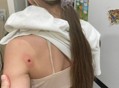 Пенсионер стрелял из травмата в девочек за сбор черешни возле его забора