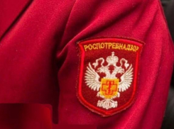 В Ростовской области изъяли 460 кг рыбной продукции за шесть месяцев 