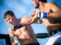 Смешанное боевое единоборство будут развивать в Ростове