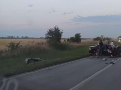 В Ростовской области в ДТП под Волгодонском погибли восемь человек, в том числе четверо детей