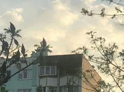 Мама и трехлетний малыш погибли при пожаре в Ростове